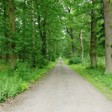 Forest Retreat Near Berlin *