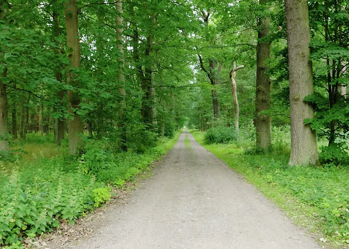 Forest Retreat Near Berlin *